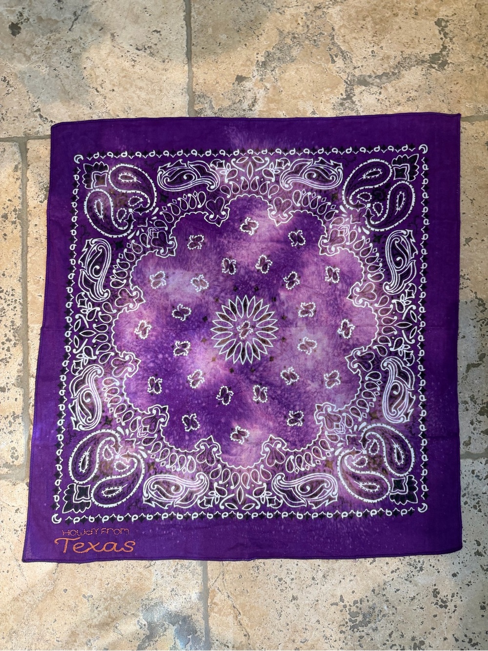 Mandriana bandana Purple Paisley Bandana Accent with Texas embroidery